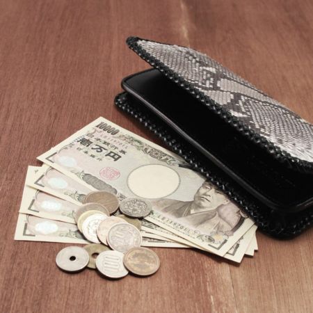 ヘビ革 編み込みデザイン 長財布 MGSABLE 長財布 パイソン ヘビ革 レディース 札入 100万入る