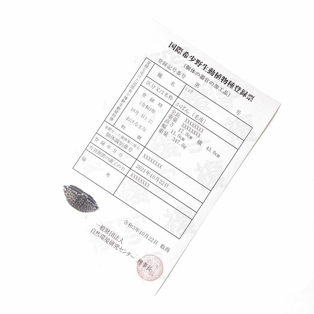 アウトレット 2021年 プレミアムバッグ レオパード(ヒョウ毛皮)